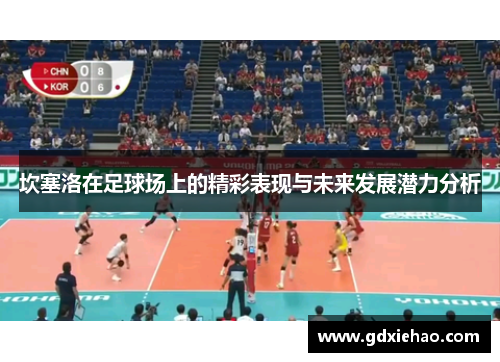 坎塞洛在足球场上的精彩表现与未来发展潜力分析