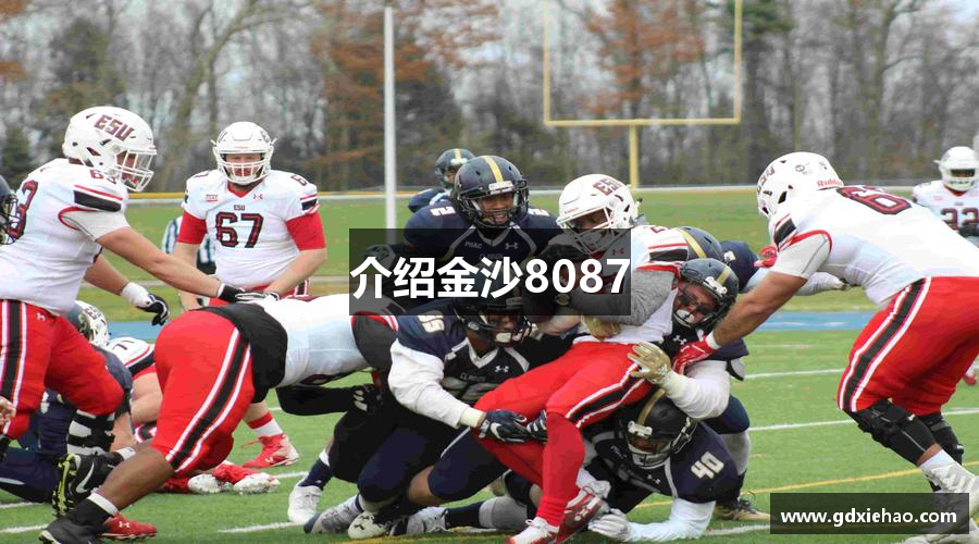 介绍金沙8087